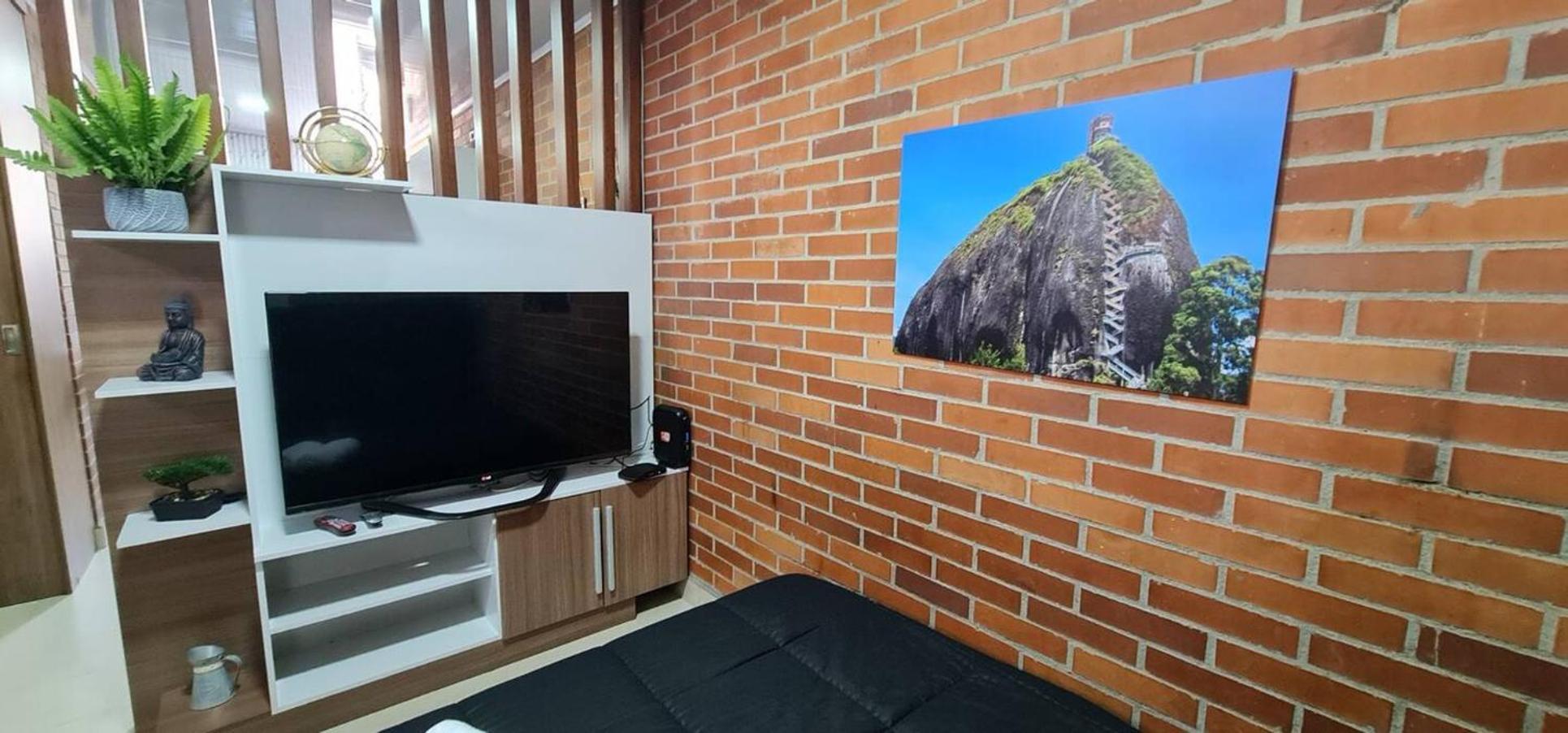 1br Air Conditioned Buenos Aires Apartment
